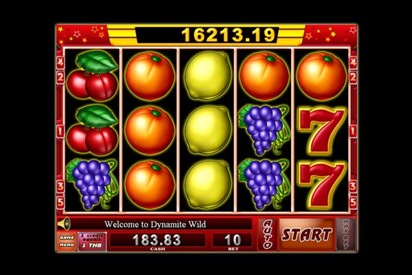 jogo daily cash slots