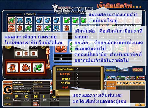 น้ำเต้าปูปลา Royal Ruby888